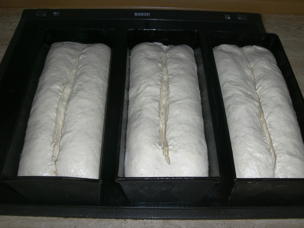 Kastemweißbrot 027.jpg