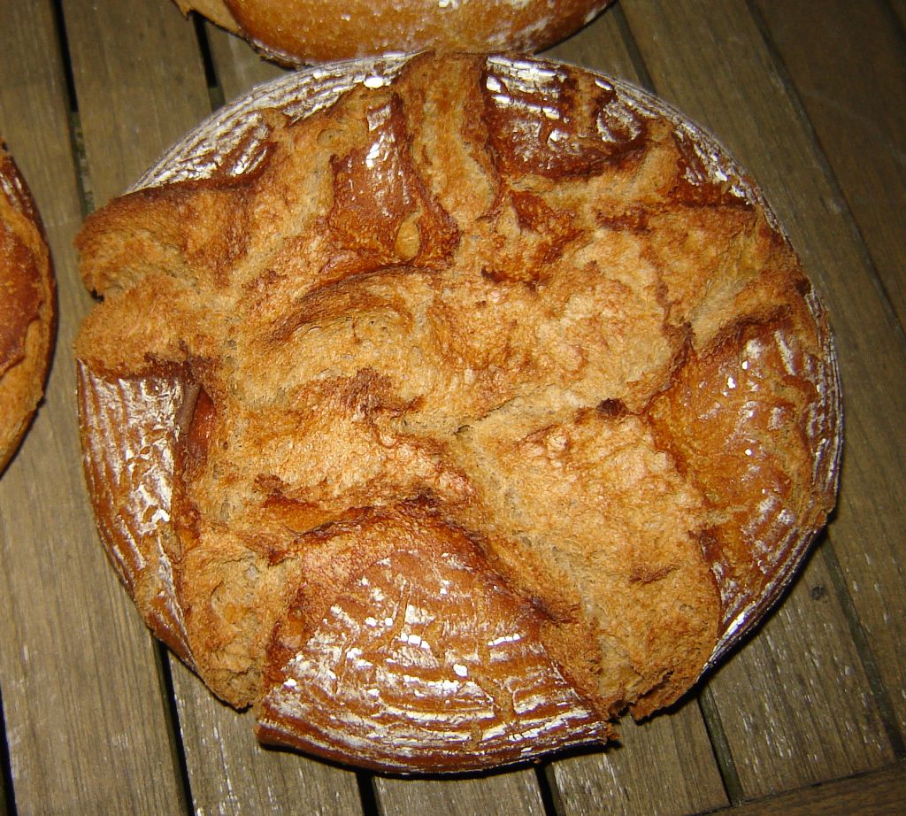 Rustikus06.jpg