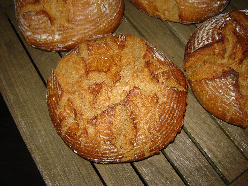 Rustikus07.jpg