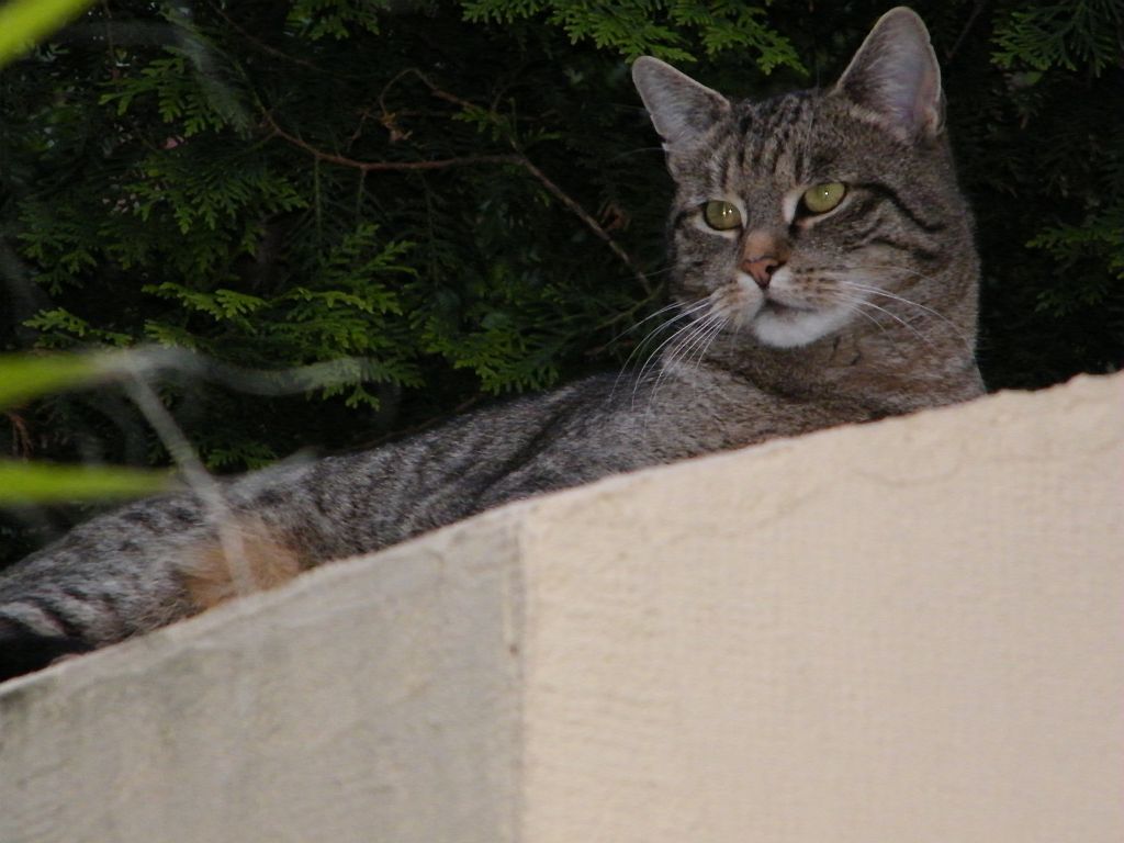 DSCF1239.JPG