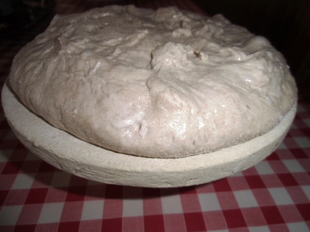 Brot0 006.JPG