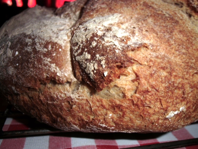 Brot0 015.JPG