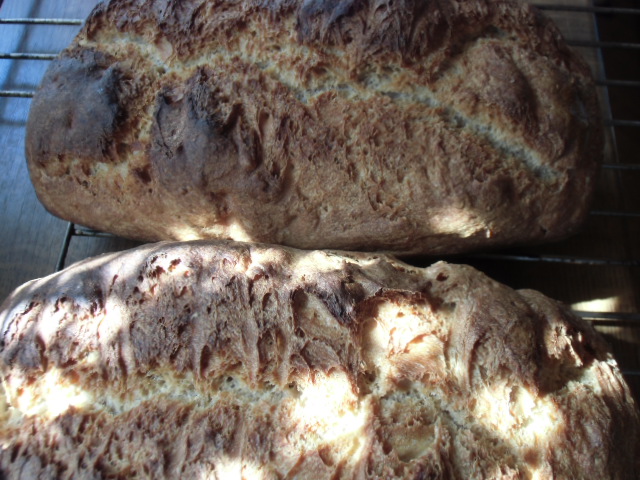 Brot0 009.JPG