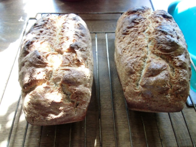 Brot0 007.JPG