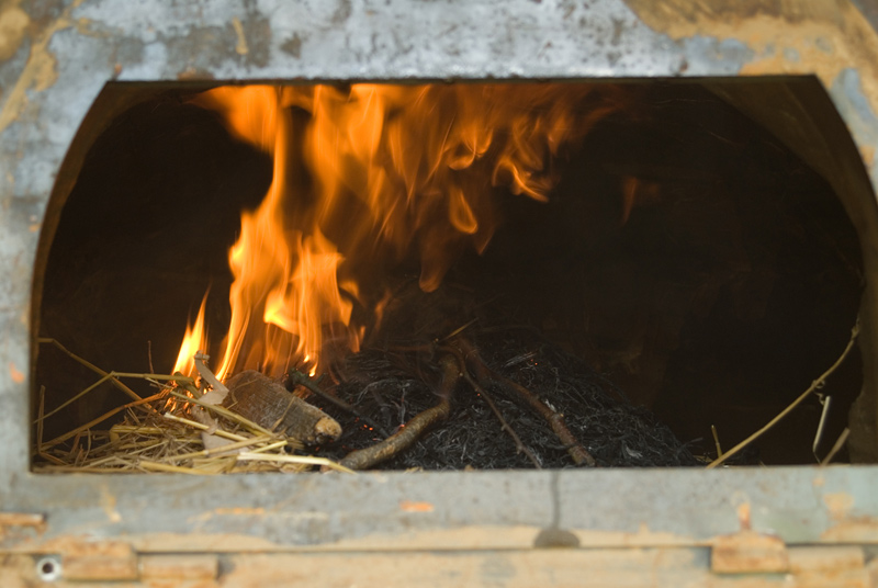 ... den Willy haben wir aber natürlich lange vorher wieder rausgelassen