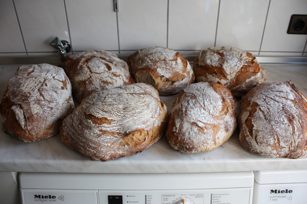 IMG_3170.JPG