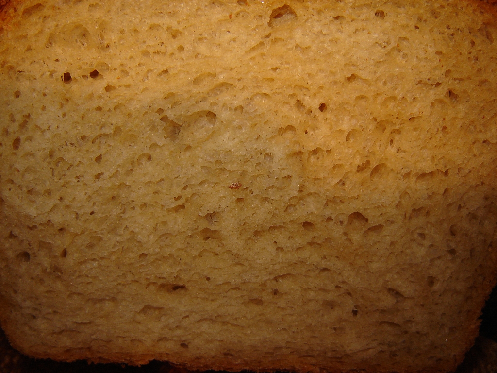 brot05.jpg