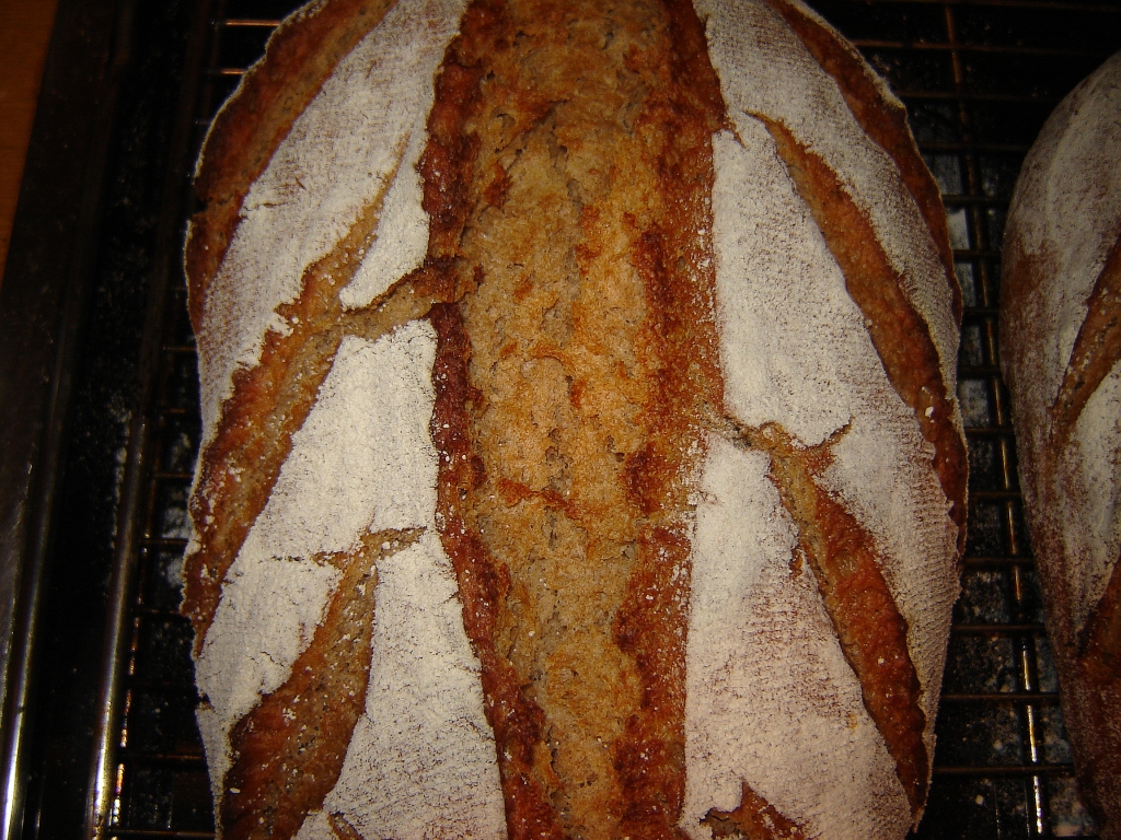 brot07.jpg