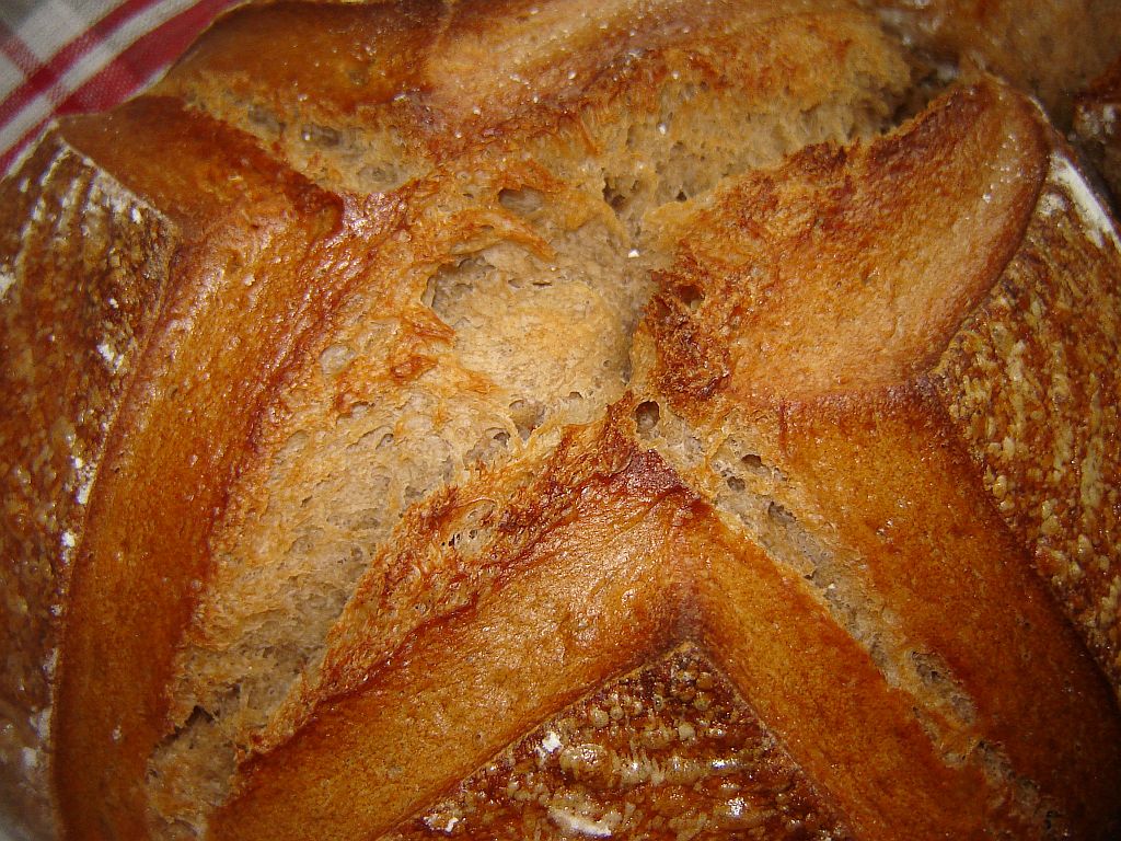 Bierbrot 18.jpg