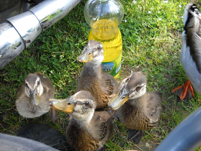 k-Tour 2013 bis Spanien 016.jpg