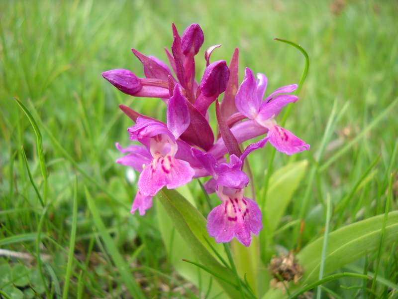 k-Tour 2013 bis Spanien 074.jpg