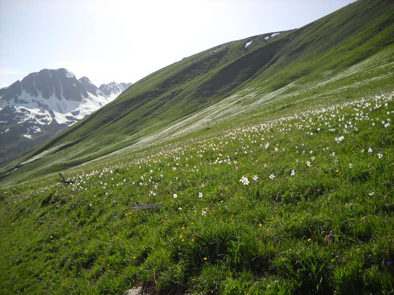 k-Tour 2013 bis Spanien 114.jpg