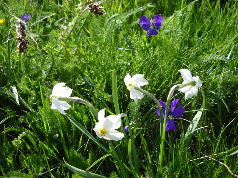 k-Tour 2013 bis Spanien 111.jpg