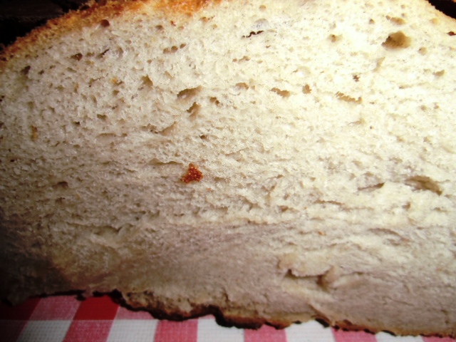 Brot00 003.JPG