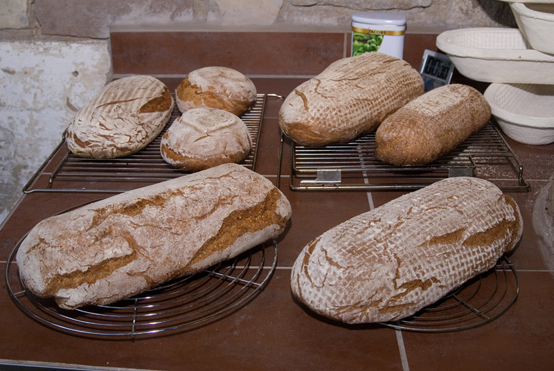 060713Überraschungsbrot-durcheinander051.jpg