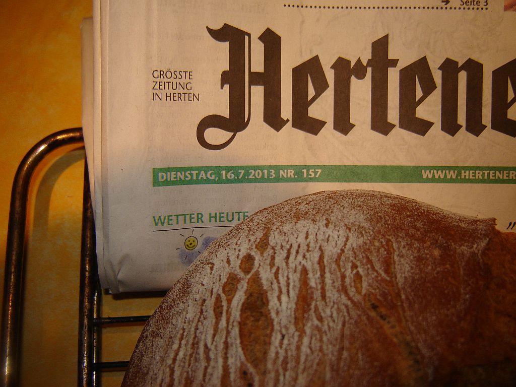 20130711_Steini_Tageszeitung.jpg