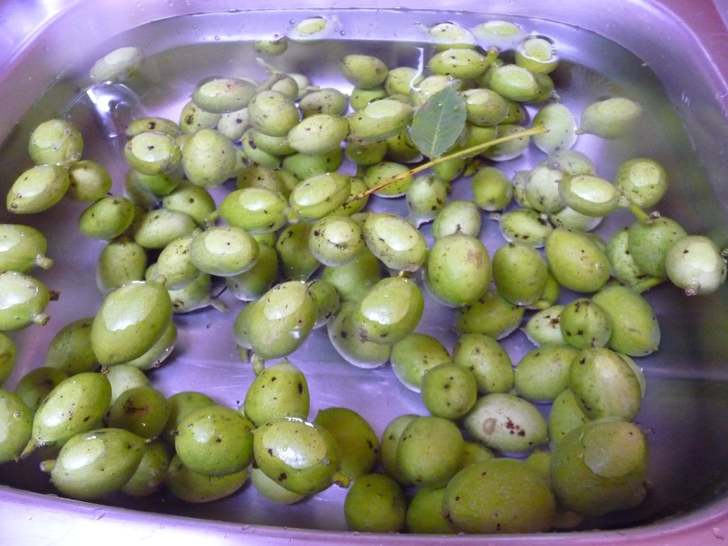 20130712_SchwarzNuss_01.JPG