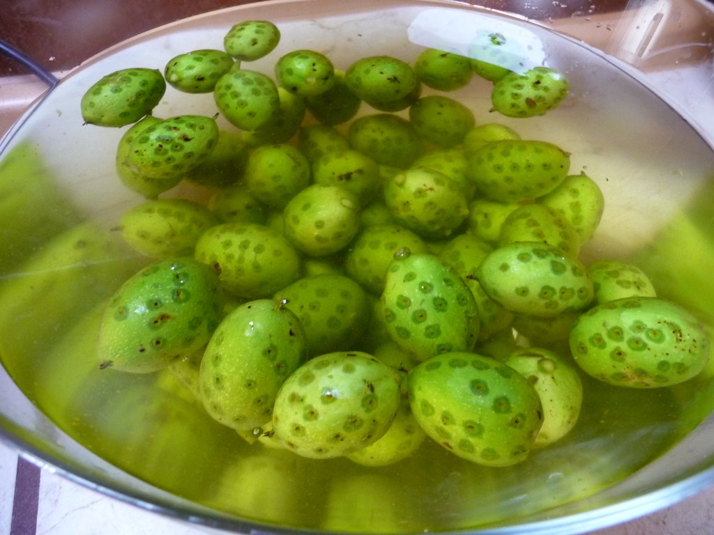 20130712_SchwarzNuss_05.JPG