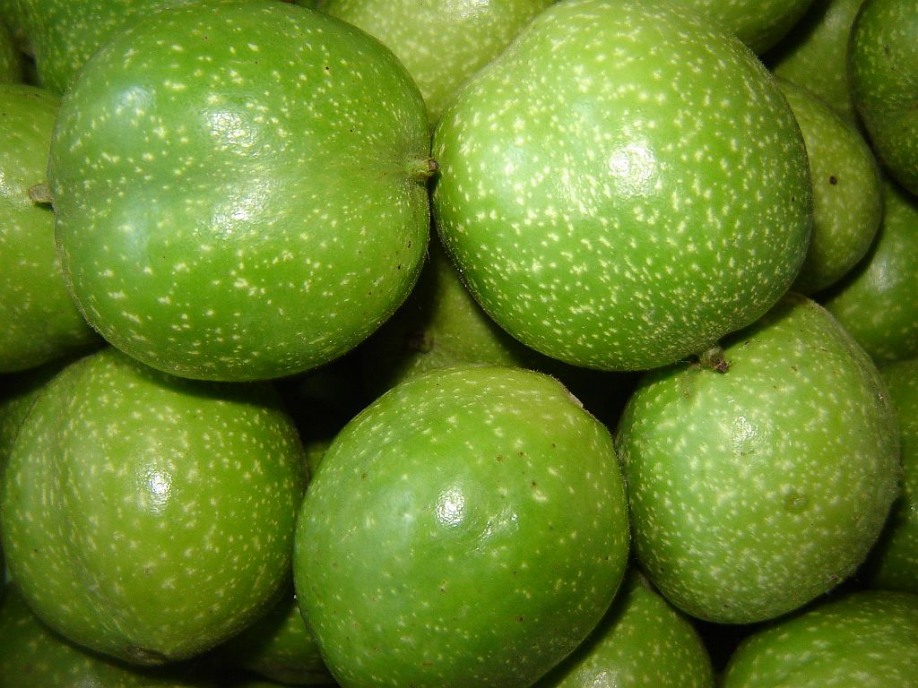 Schwarze Nüsse 02.jpg