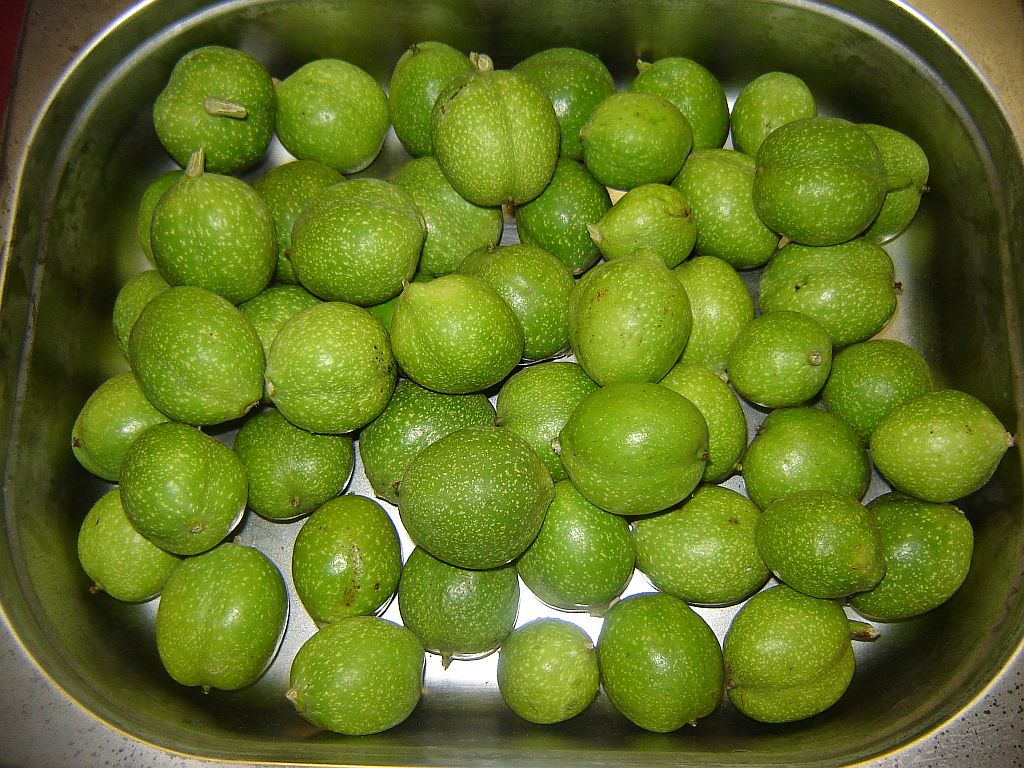 Schwarze Nüsse 04.jpg