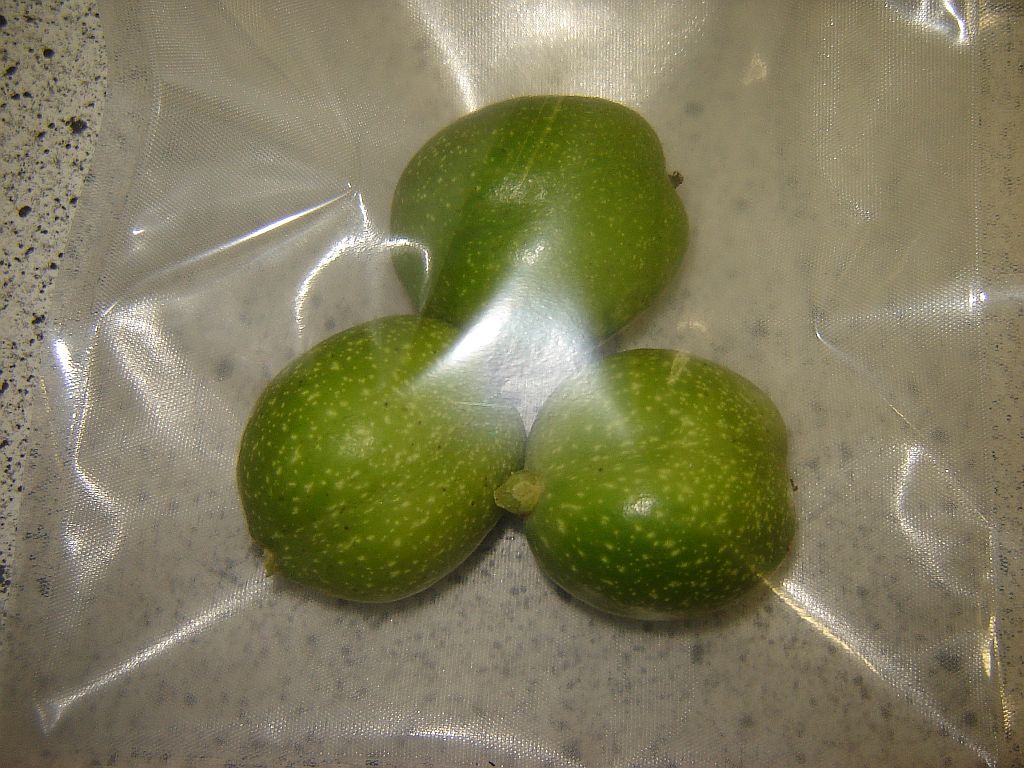 Nussvakuum02.jpg