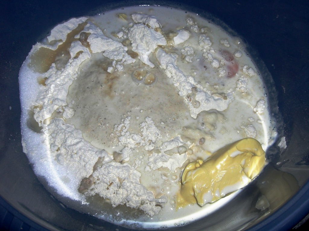 schnecken 021.jpg