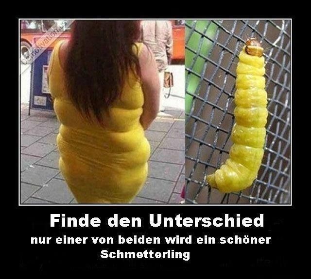 Foto.JPG