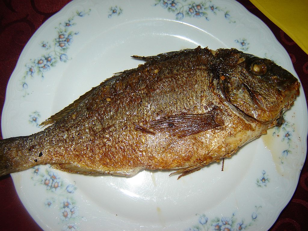 Dorade.jpg