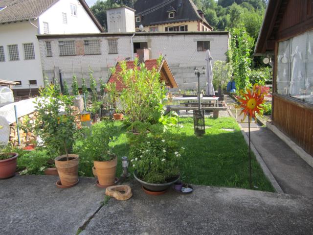 IMG_3207.JPG