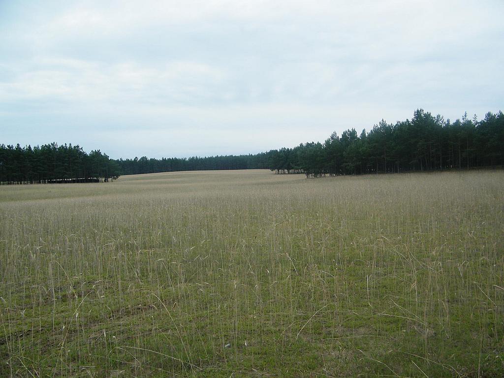 DSCF1343.JPG