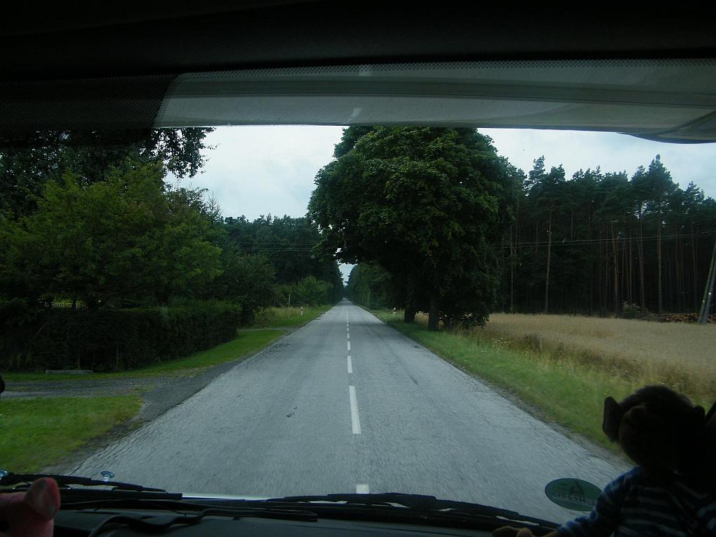 DSCF1352.JPG
