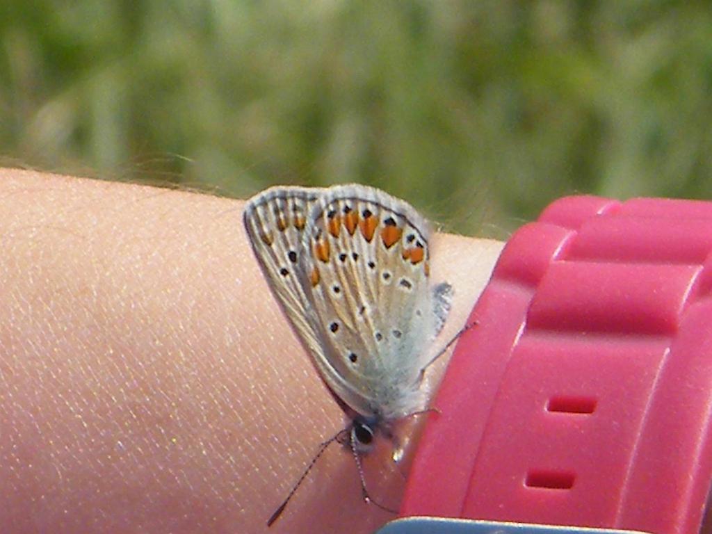 DSCF1391.JPG