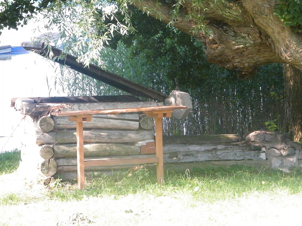 DSCF1338.JPG