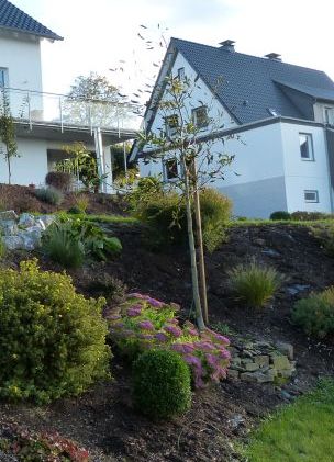 Garten 07.10.2012 16-24-57.JPG