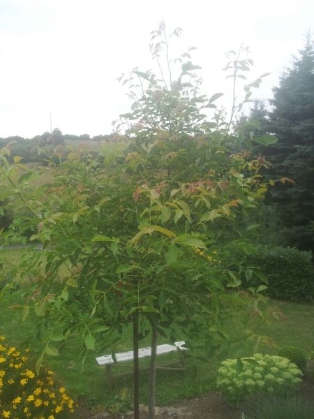 20130815_174634_resized.jpg