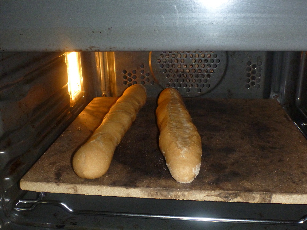 P1020492(1).JPG