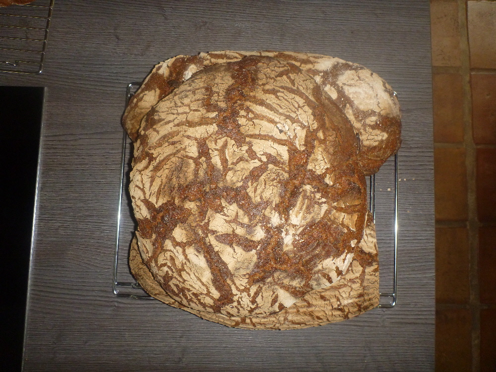P1020506(1).JPG