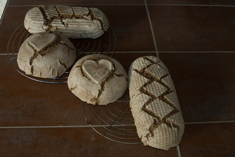 160713meine-ersten-Roggensauerteigbrote-fertig029.jpg