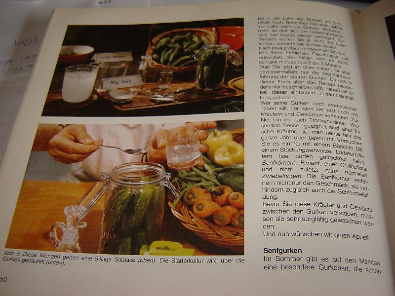 Gurken02.jpg