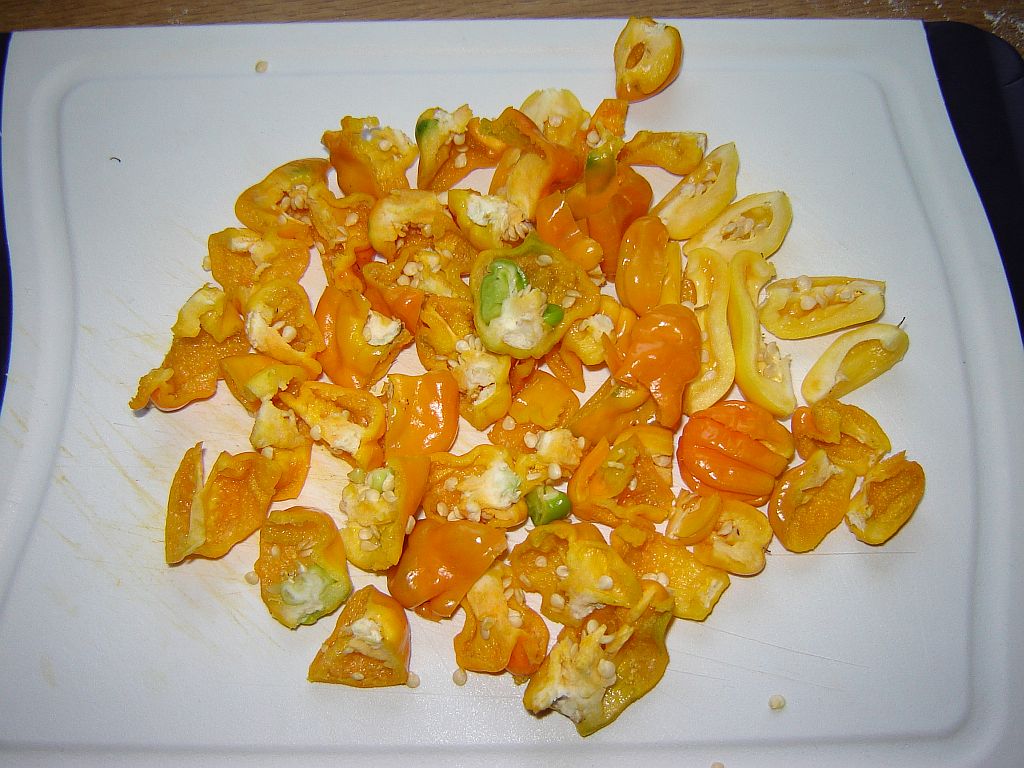 Scharf wie Nachbars Lumpi02.jpg
