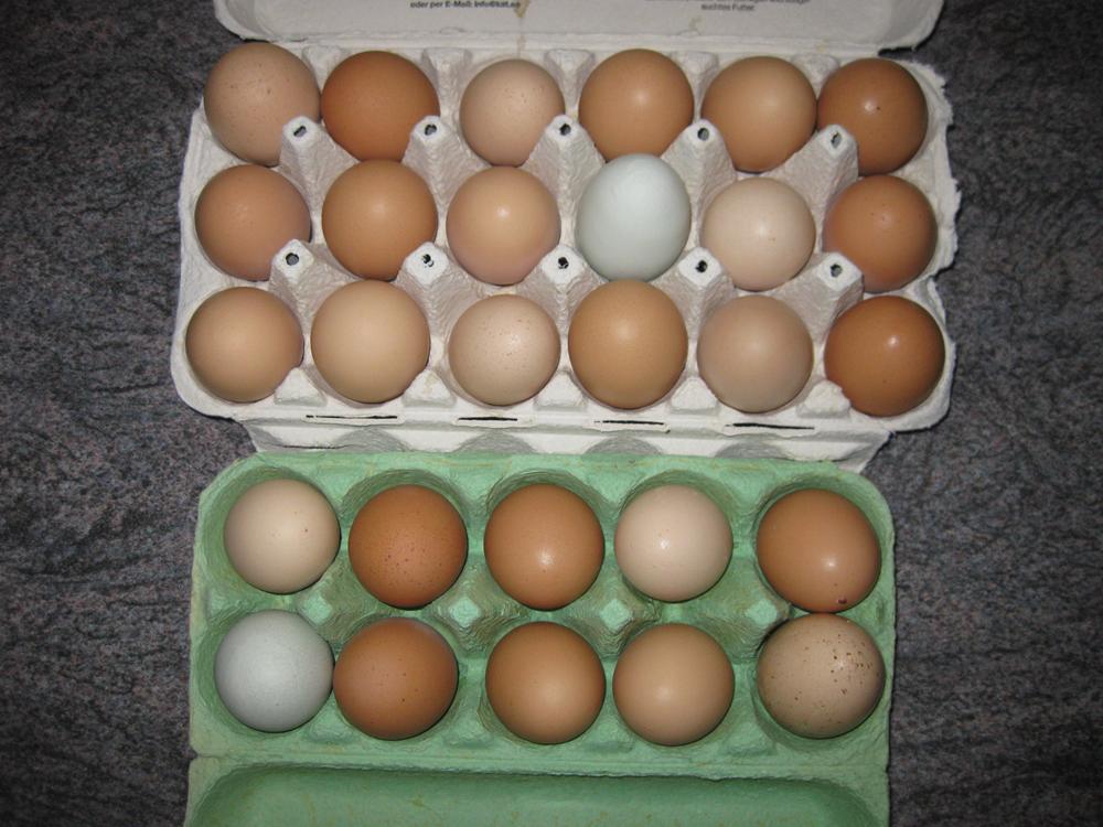 28 Eier.JPG