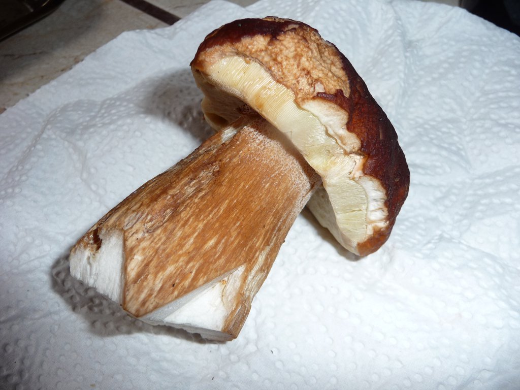 20130901_01.JPG