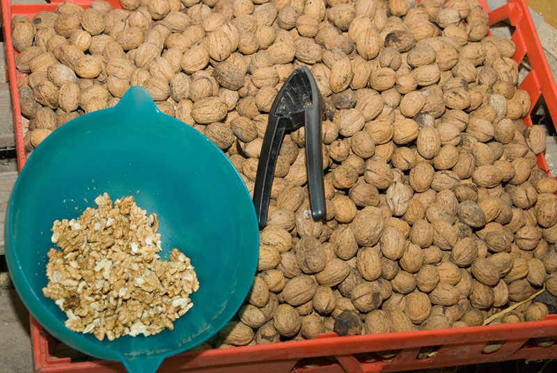 Wallnüsse vom eigenem Baum (noch vom Vorjahr)