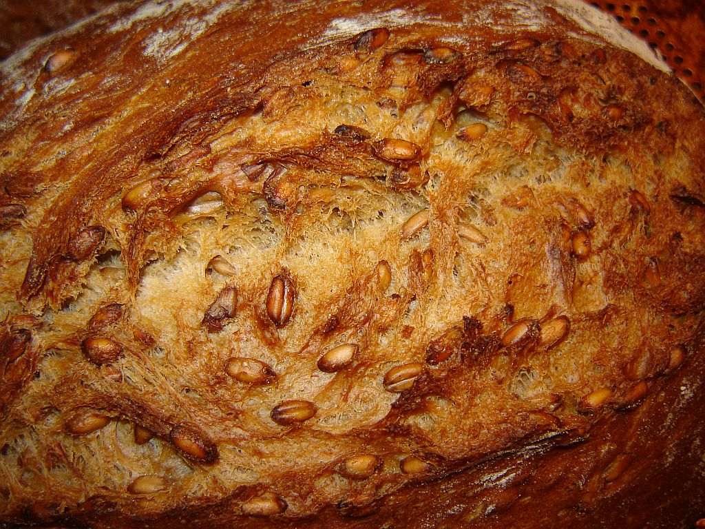 Dinkelsauerteigbrot02.jpg