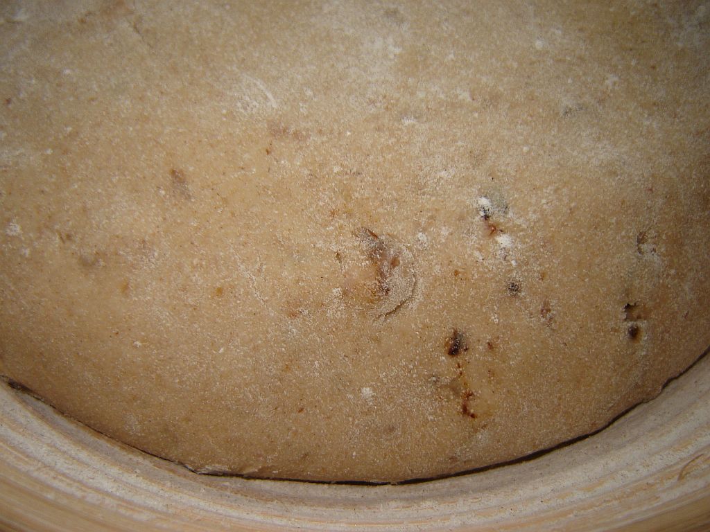 OBM12-13-09-08-14.jpg