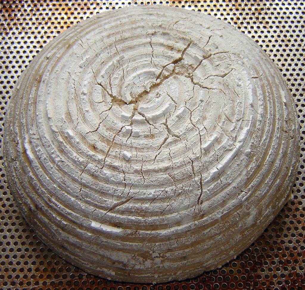 OBM12-13-09-08-16.jpg