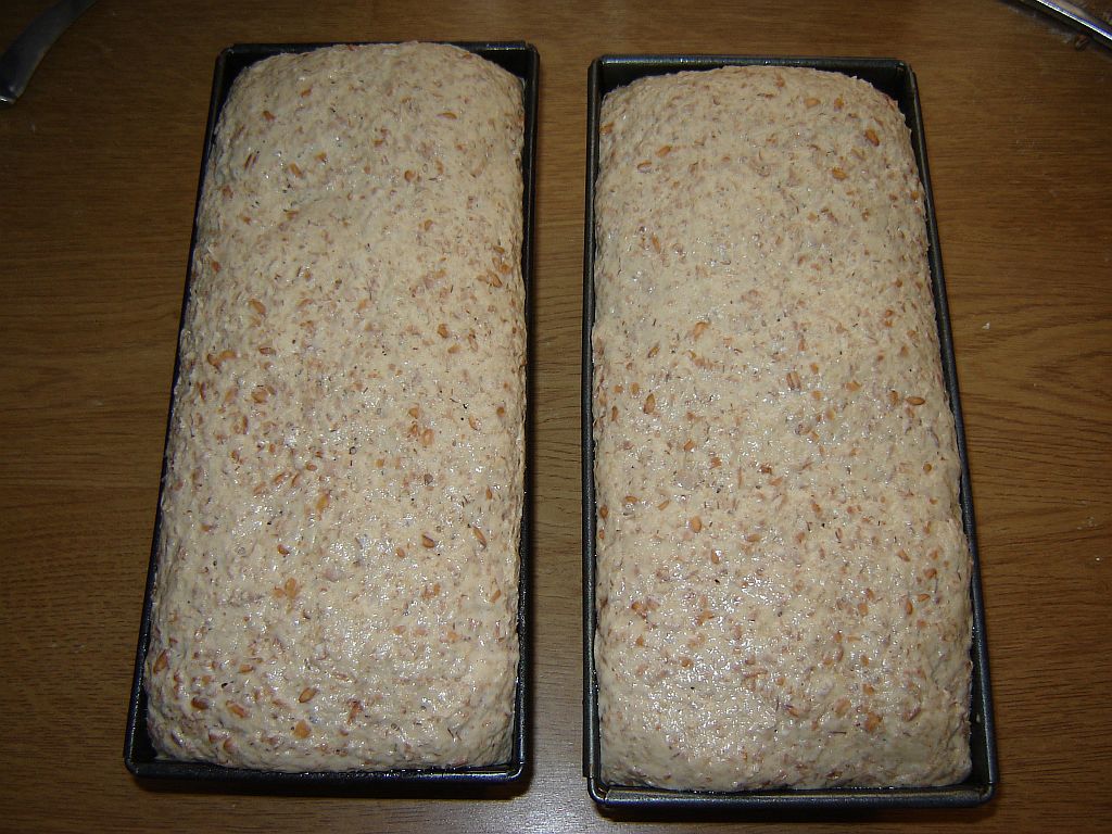 Dinkelsauerteigbrot05.jpg