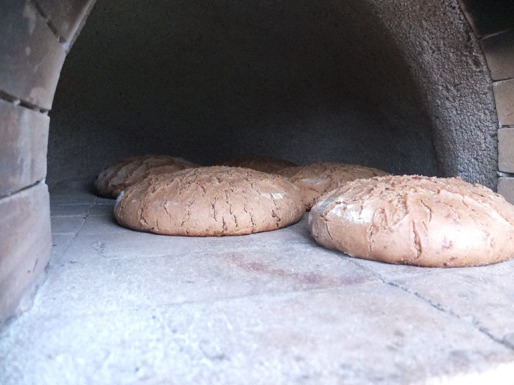 DSCF5297.JPG