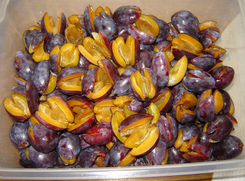 Muttentaler Zwetschenkuchen 01.jpg