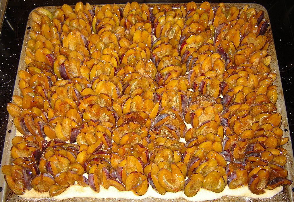 Muttentaler Zwetschenkuchen 03.jpg